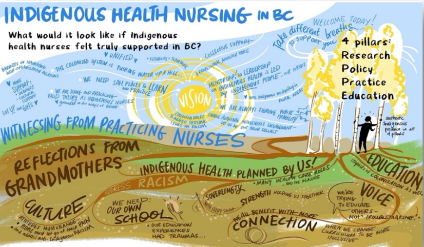 vision indigenous health nursing
