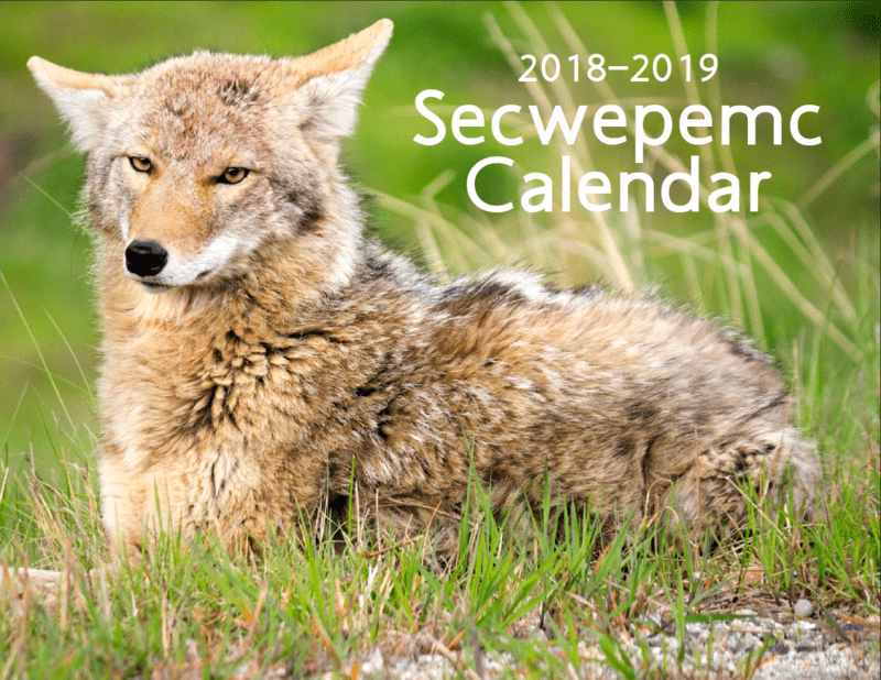 Secwepemc Calendar 2018-2019 photo