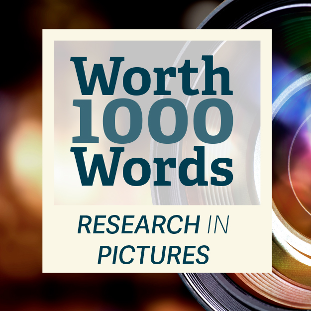 Worth 1000 Words: Research in Pictures